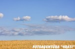 05-08-2011_18-56-40 05-08-2011_18-56-40