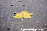2011-10-22_13-54-37_1 2011-10-22_13-54-37_1