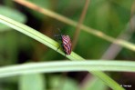 dsc_0029__5_ dsc_0029__5_