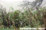 img_4820 img_4820