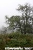 img_4865 img_4865